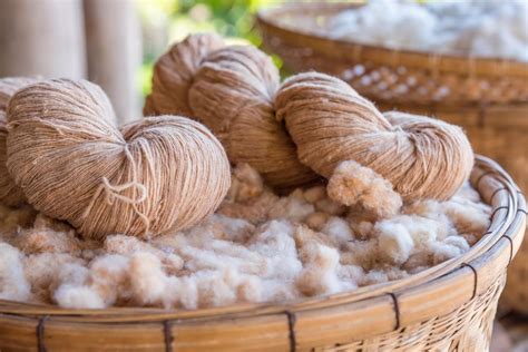 Jute: Un Trésor Naturel pour le Textile Durable et Éco-Responsable!