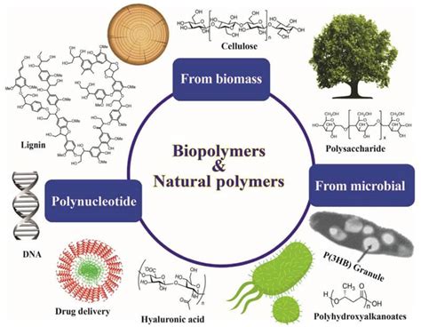  Lactide ! Un Polymère Biodégradable aux Multiples Facettes Industrielles !