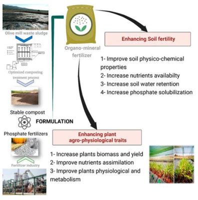  Phosphates: Un Minéral Polyvalent Pour La Fertilisation Et Les Détergents Industriels !