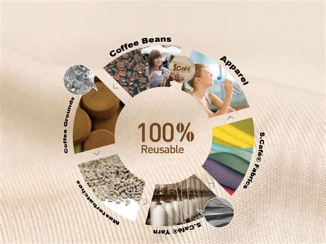  Coir ! Une fibre naturelle polyvalente pour une industrie textile durable