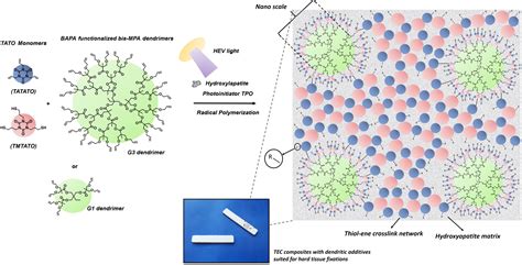  Dendrimer Composites: Un nouveau paradigme pour les revêtements haute performance ?