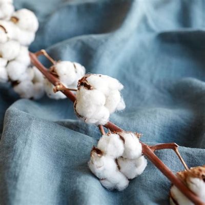  La Laine de Coton: Un Joyau Textile Douceur et Durabilité!