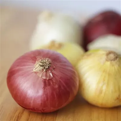 L'Oignon: Une Exploration Des Propriétés Inattendues De Ce Légumes Versatiles Pour L'Industrie Agroalimentaire !