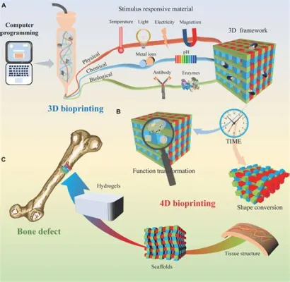  Wool-Based Biomaterial: A Sustainable Solution for Bone Tissue Engineering?!